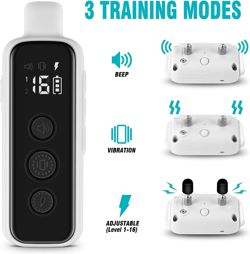 Professional Training System
