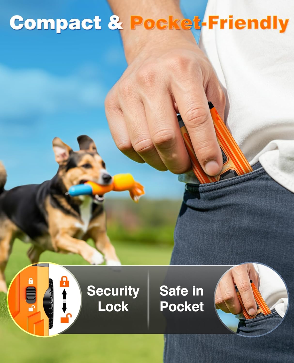 Remote Dog Training Device