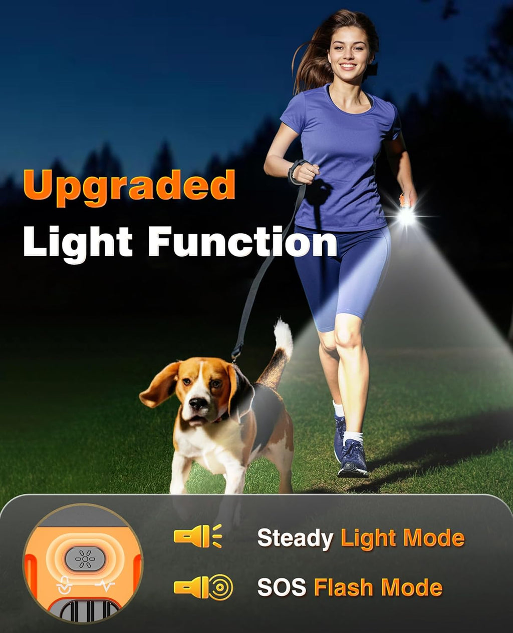 Remote Dog Training Device
