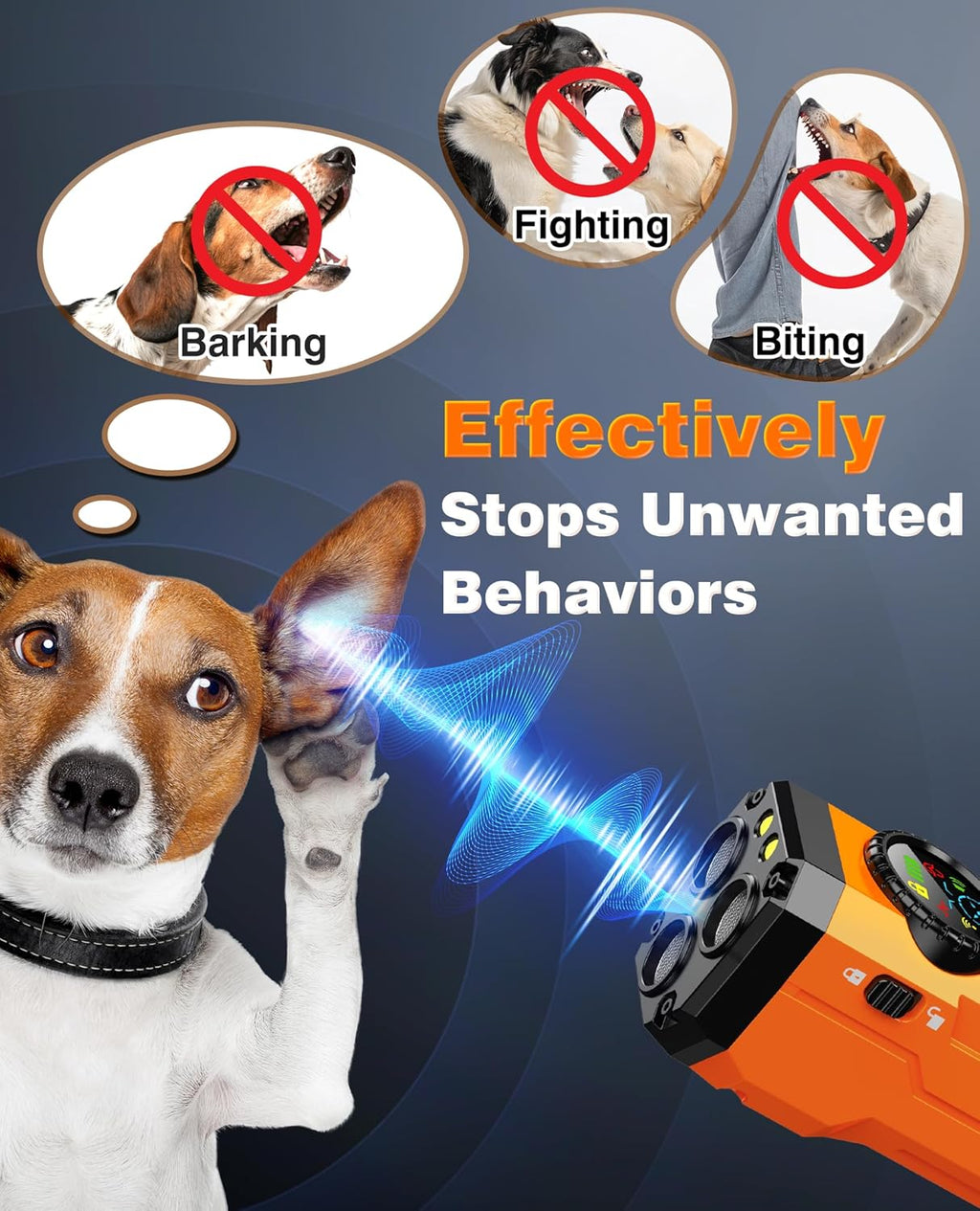 Remote Dog Training Device