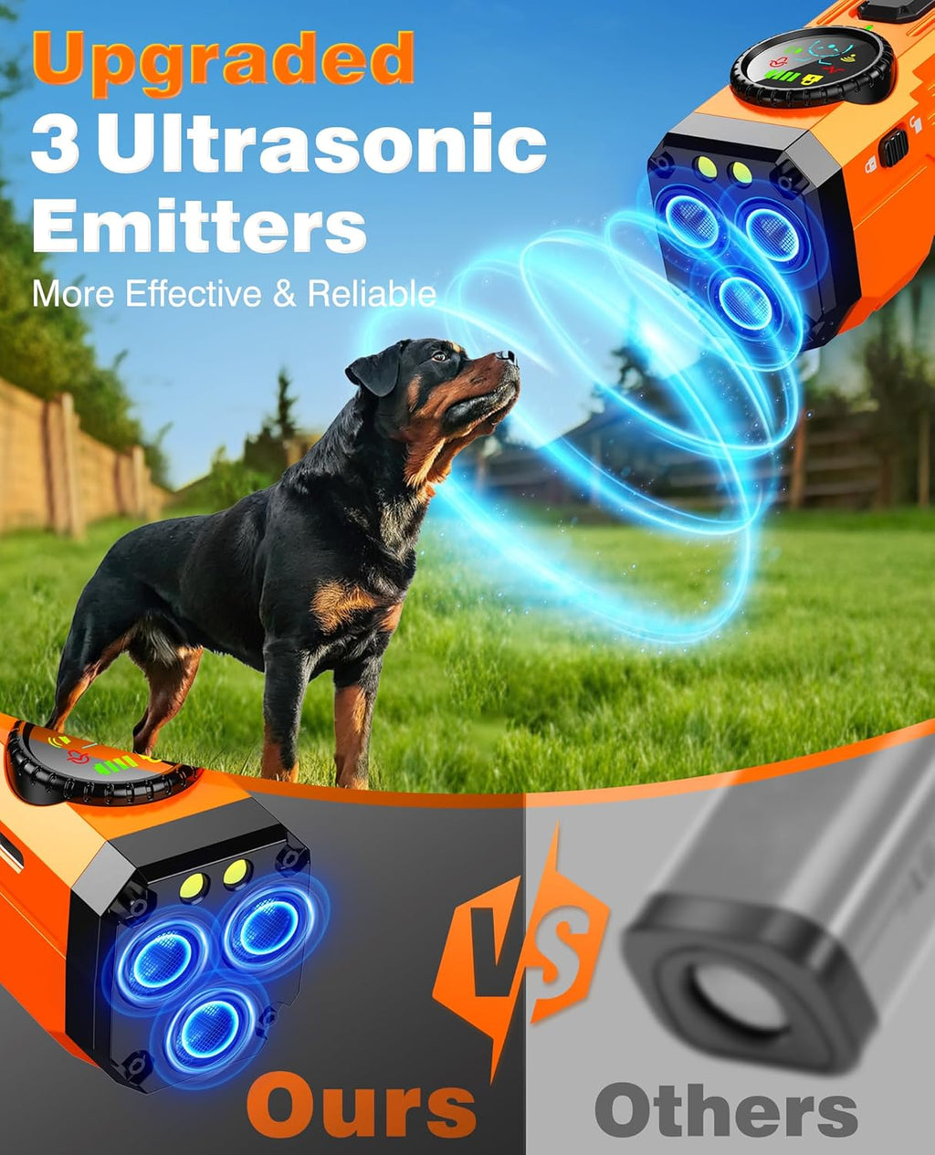 Remote Dog Training Device