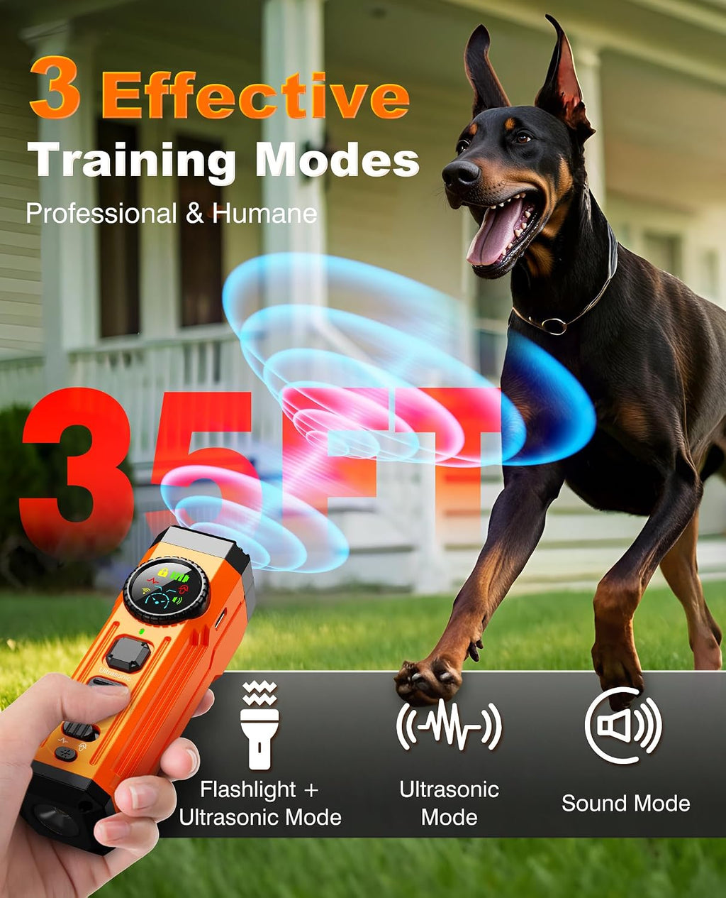 Remote Dog Training Device